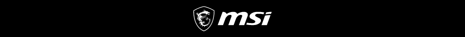 MSI